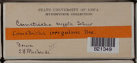 Image Associated With the Occurence
